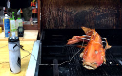 bbq red emperor with temperature probes